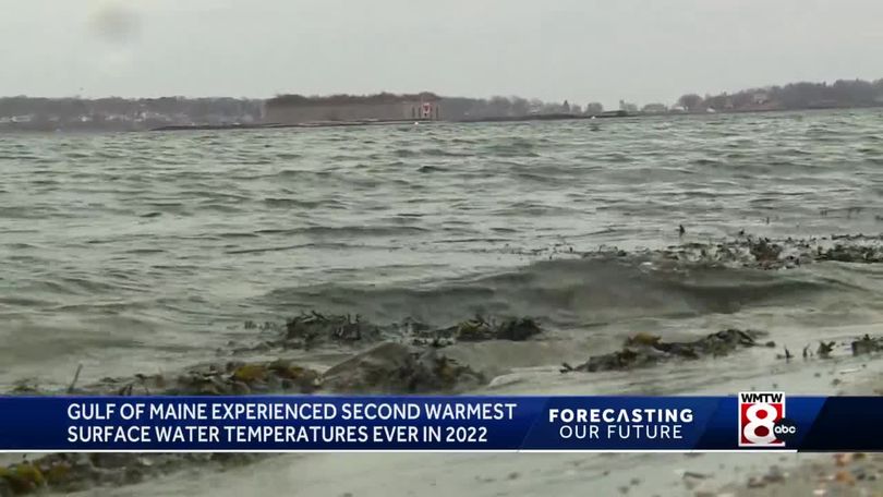 Gulf of Maine records second warmest year ever in 2022