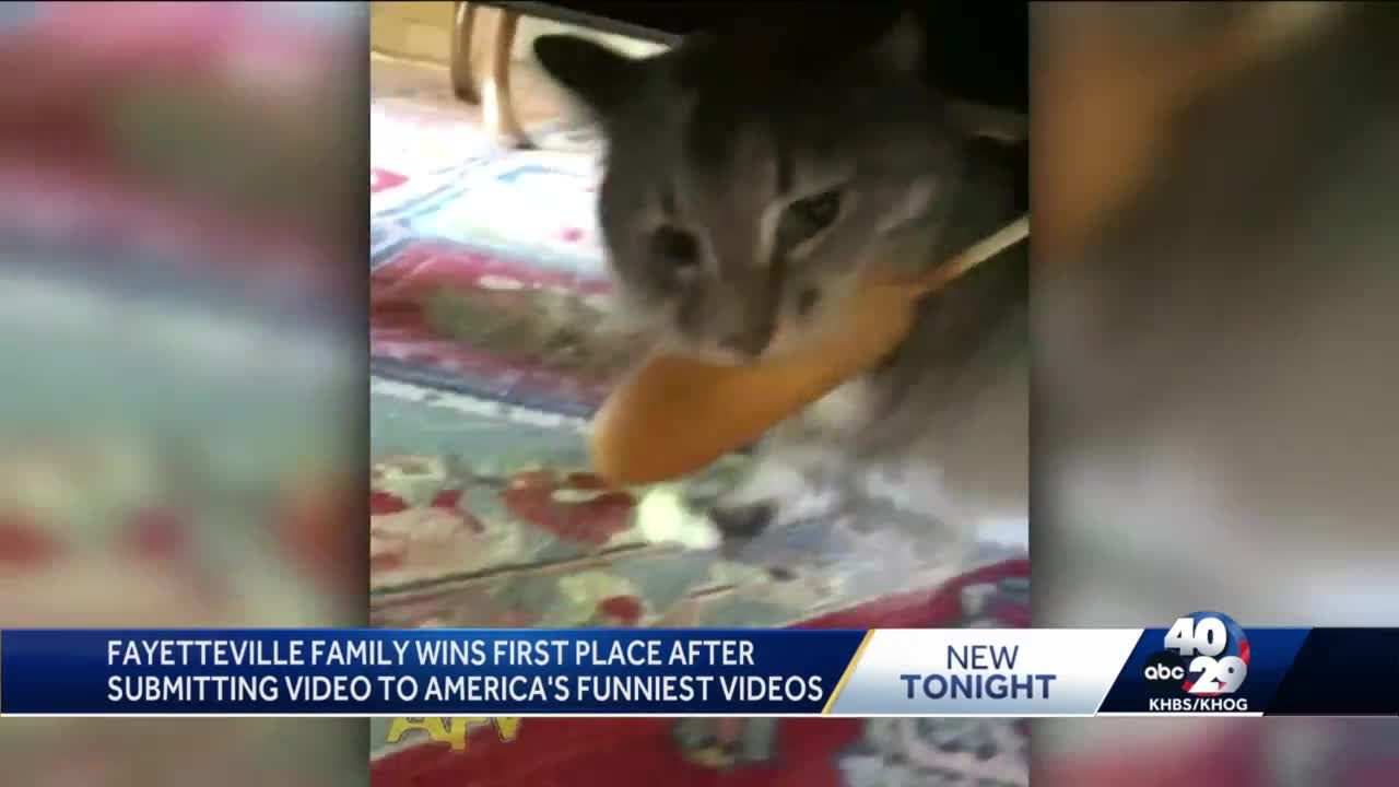 America's funniest best sale pet videos