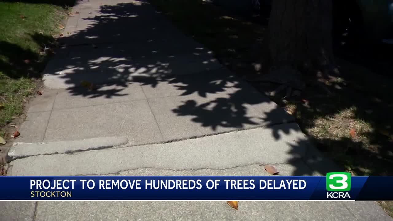 Stockton suspends removal of more than 400 trees following community complaints