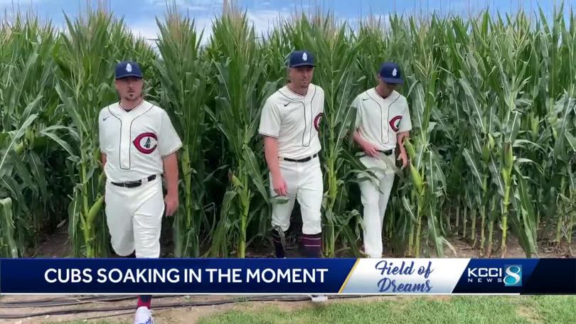 MLB Memes - A true Field of Dreams Cubs Memes