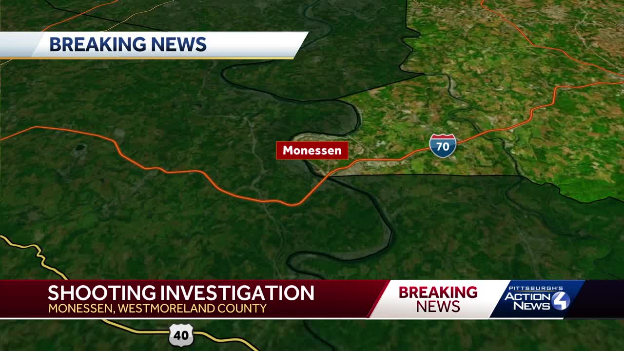 Monessen shooting