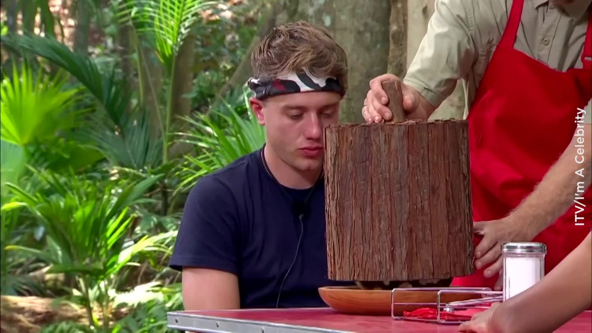 preview for I'm a Celebrity viewers love Ant and Dec's NSFW jokes during disgusting food trial