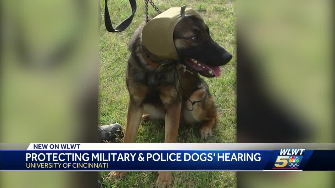 Zeteo Tech Develops Hearing Protection for Military Dogs