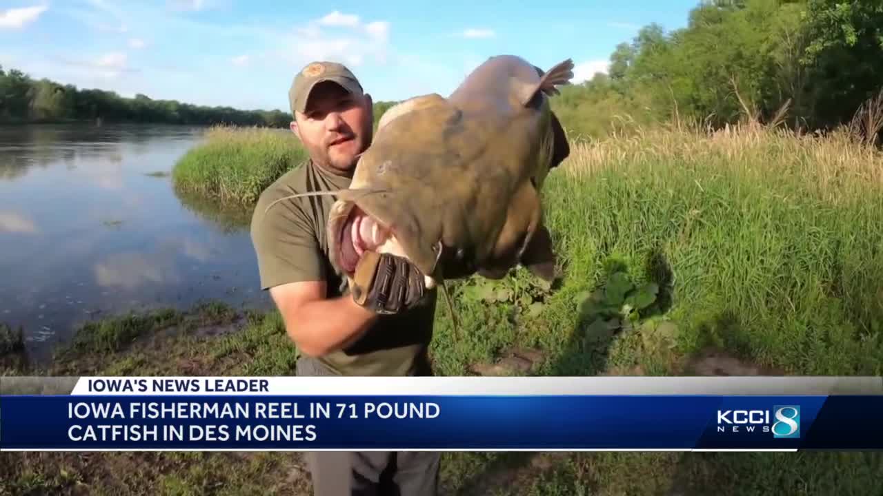 Catfish K/O Bank Pole Results, Illinois, Siluriformes, river, West Des  Moines, Ames