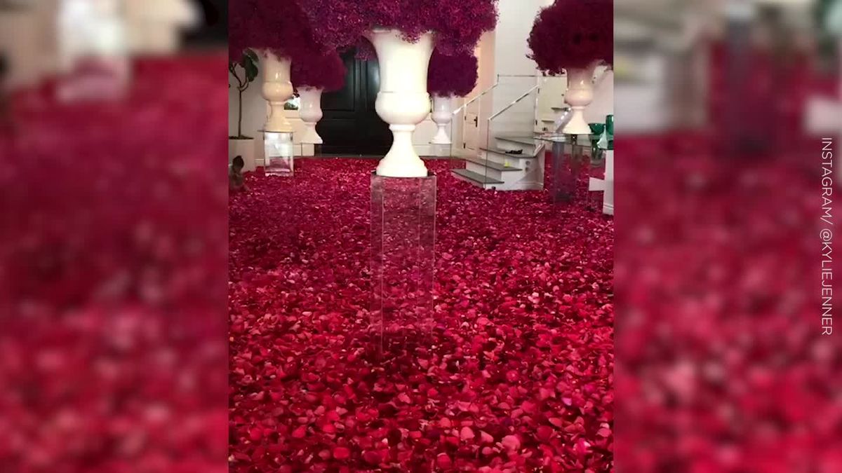 preview for Travis Scott Had Kylie Jenner's Mansion Covered In Roses