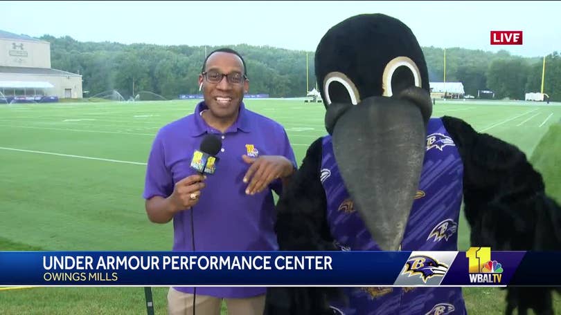 The Baltimore Ravens mascot is seen on the field at the game