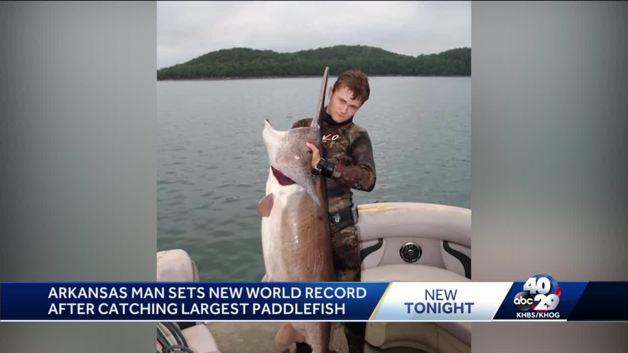 Arkansas spear fisher pulls record Spoonbill Fish from Beaver Lake