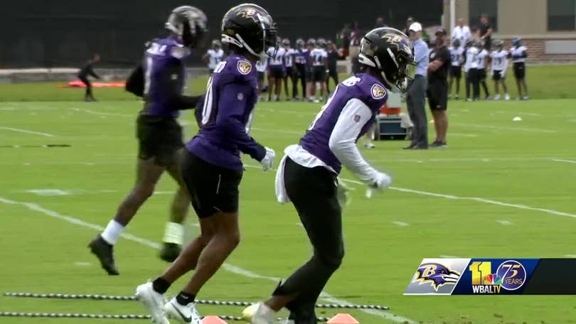 Mystery at Ravens training camp: 2 veterans didn't report for no apparent  reason