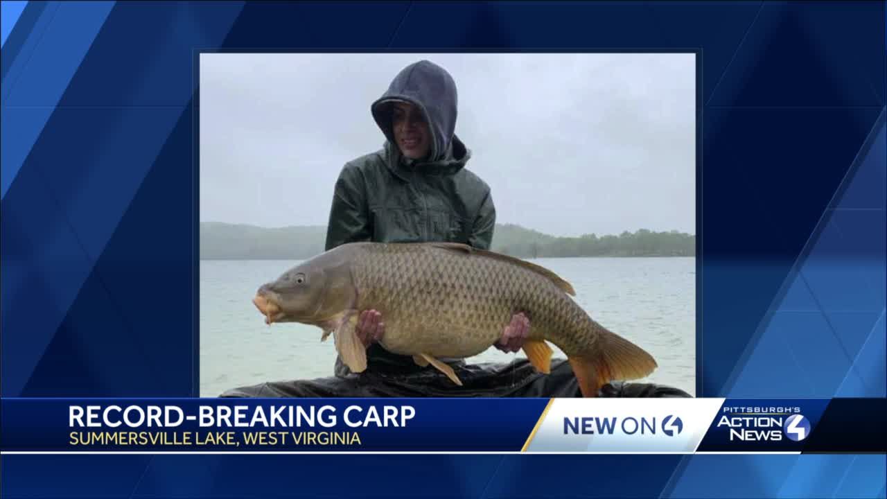 Anglers seize the day with record-setting carp