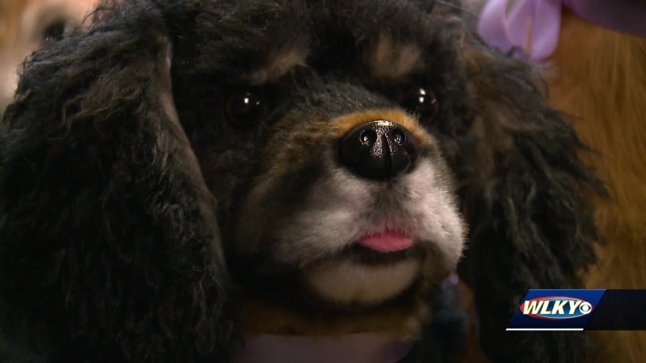 Louisville company 'clones' people's pets as stuffed animals