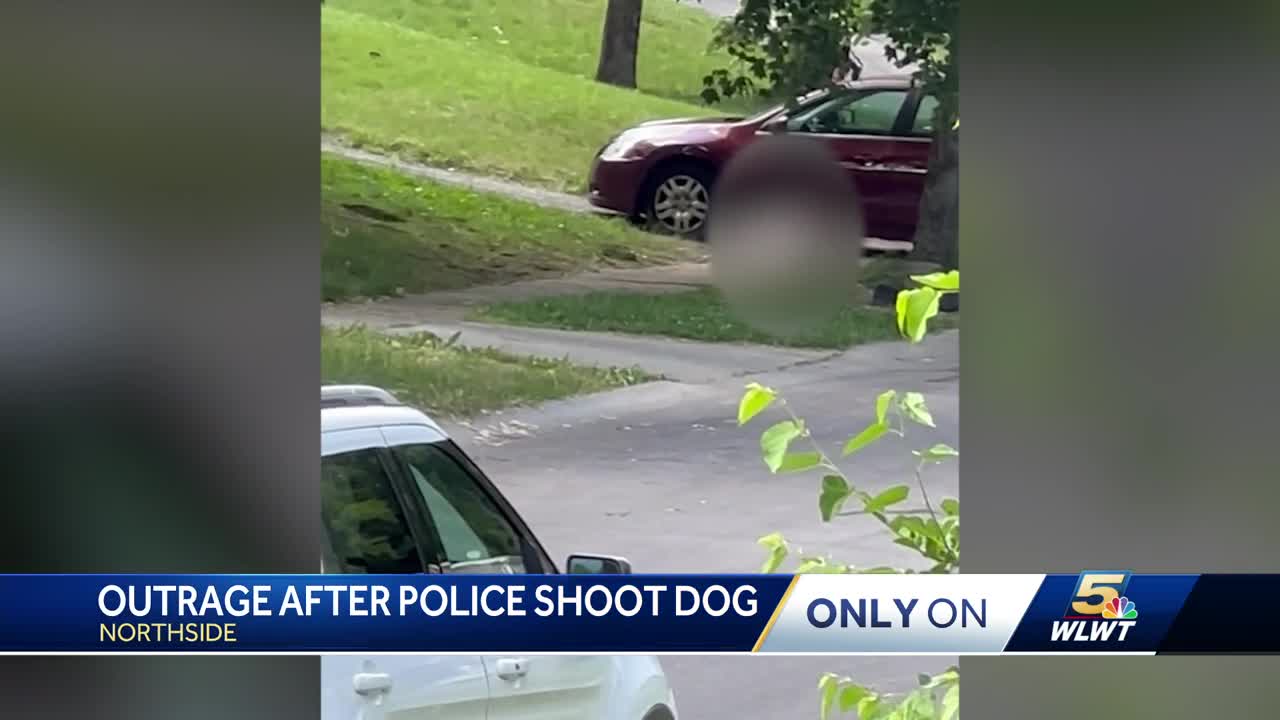 Neighbors outraged after Cincinnati police shoot dog in Northside