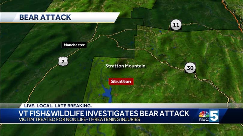 Bear incidents are on the rise in Vermont. What should you do to avoid  them?