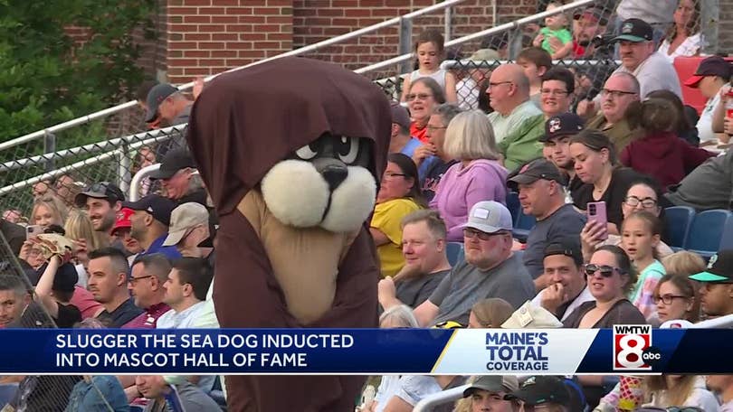 We love Slugger the sea dog‼️🦭⚾️ A summer night at the