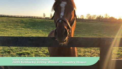 preview for CL Fair Live! Derby Party — 2019 Kentucky Derby Winner 'Country House'