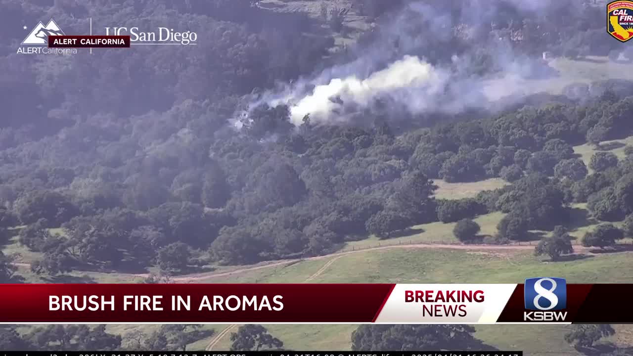 Vegetation fire stopped in Aromas area
