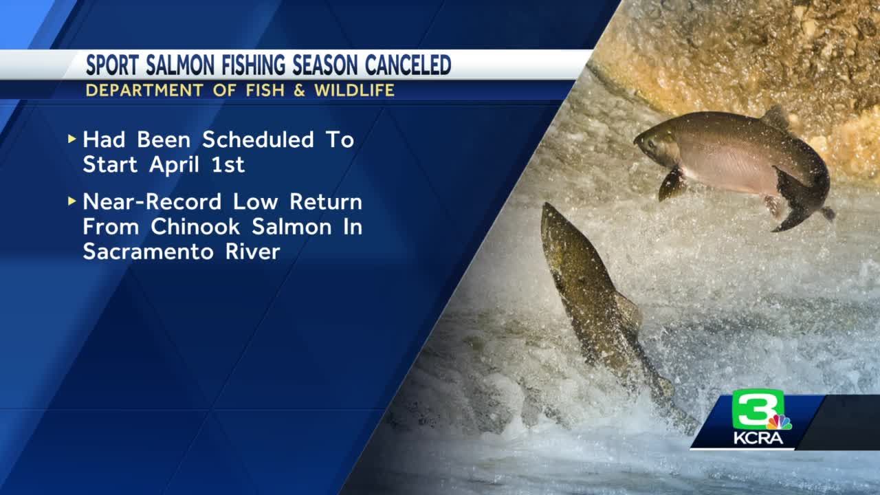 Salmon fishing is banned off the California coast for the second