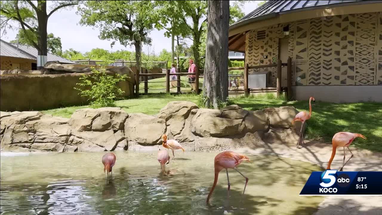 Budget-friendly activities for families to check out across Oklahoma this summer