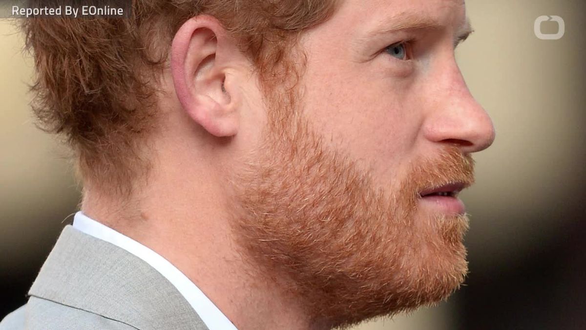 preview for Dog Naps During Prince Harry Speech
