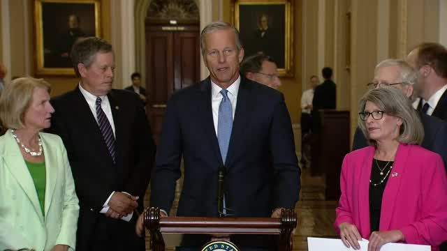 Mitch McConnell freezes at press conference and is escorted away