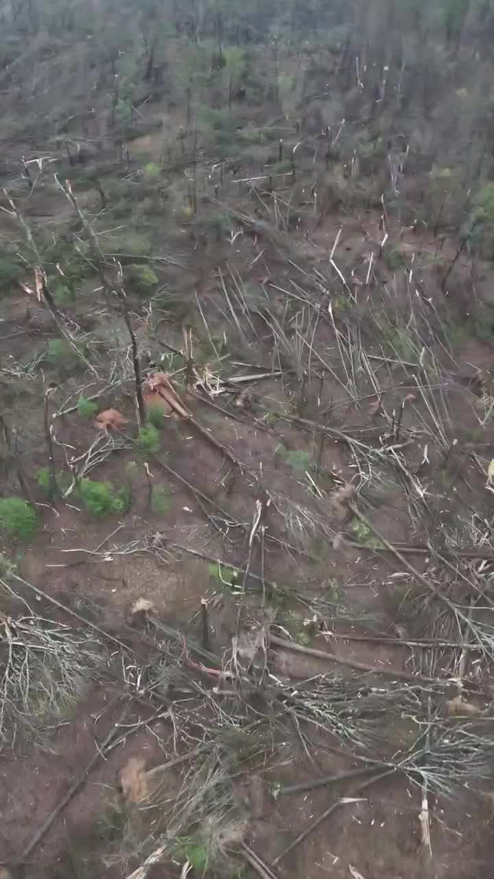 Drone aerials show damage across Alabama after severe weather outbreak
