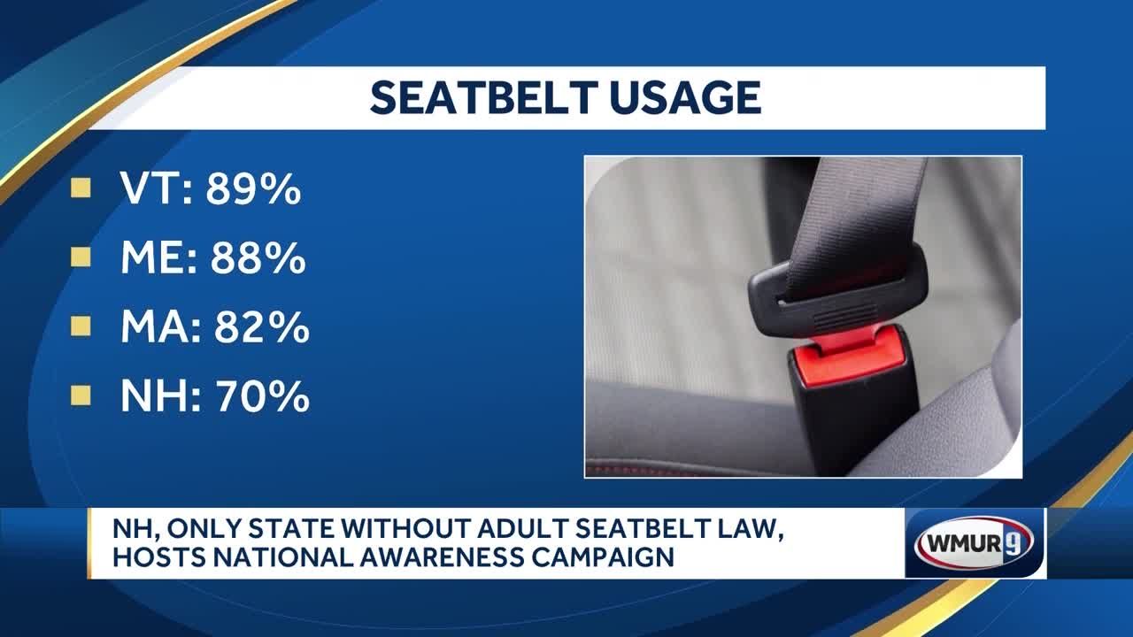 Adult clearance seat belt