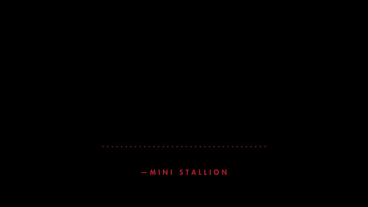 preview for Mini Stallion