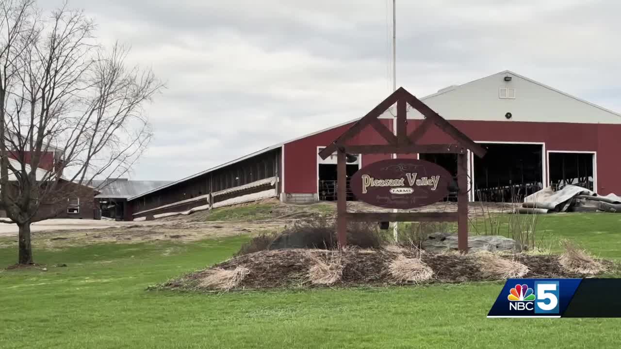 Customs and Border Protection agents detain 8 workers at Vermont dairy farm