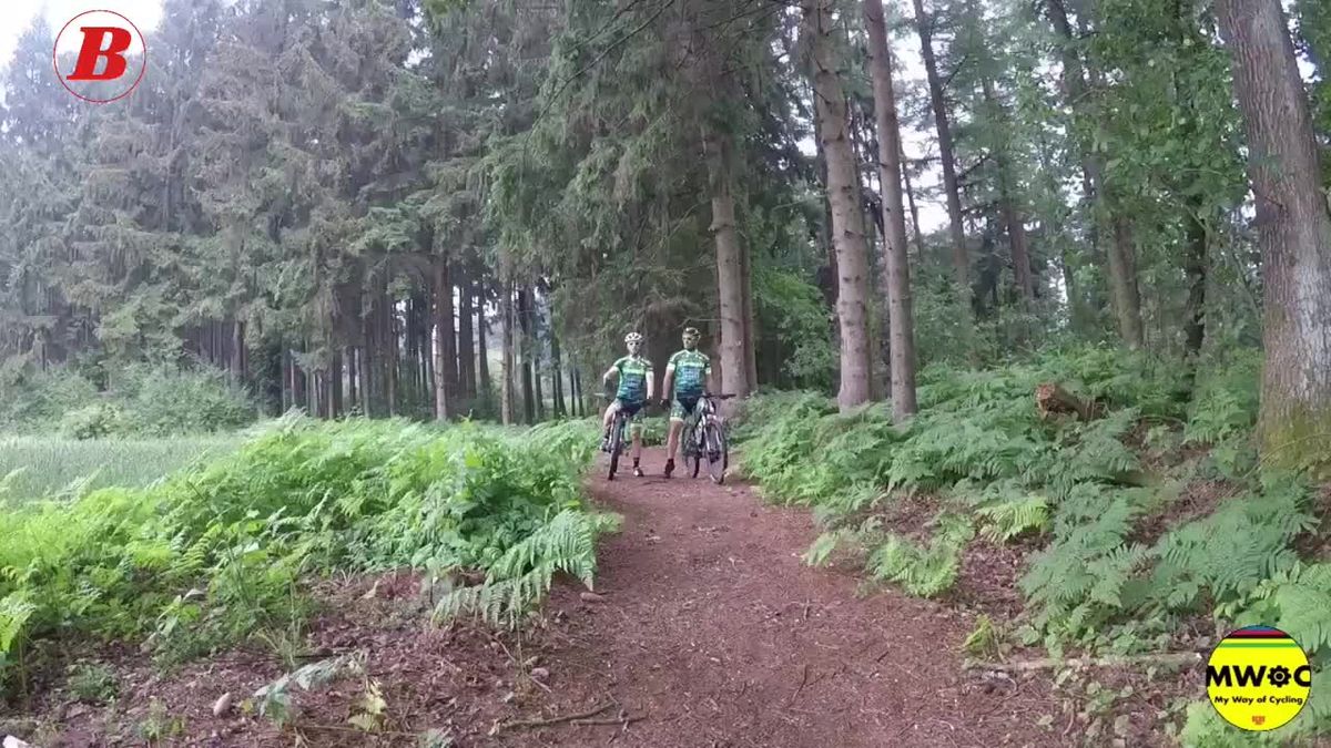 preview for Lezer Erik op pad in het Teutoburger Wald