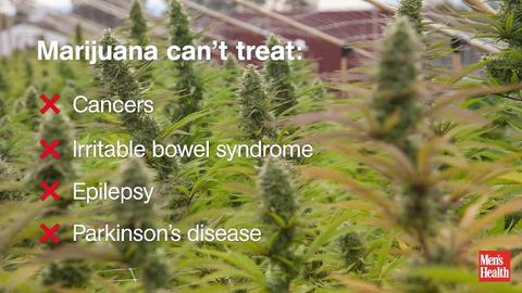 preview for Marijuana Health Report
