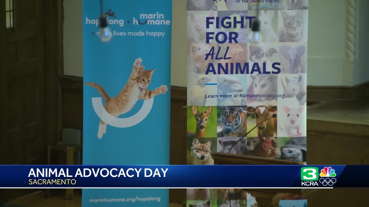 Second annual Animal advocacy day held in Sacramento