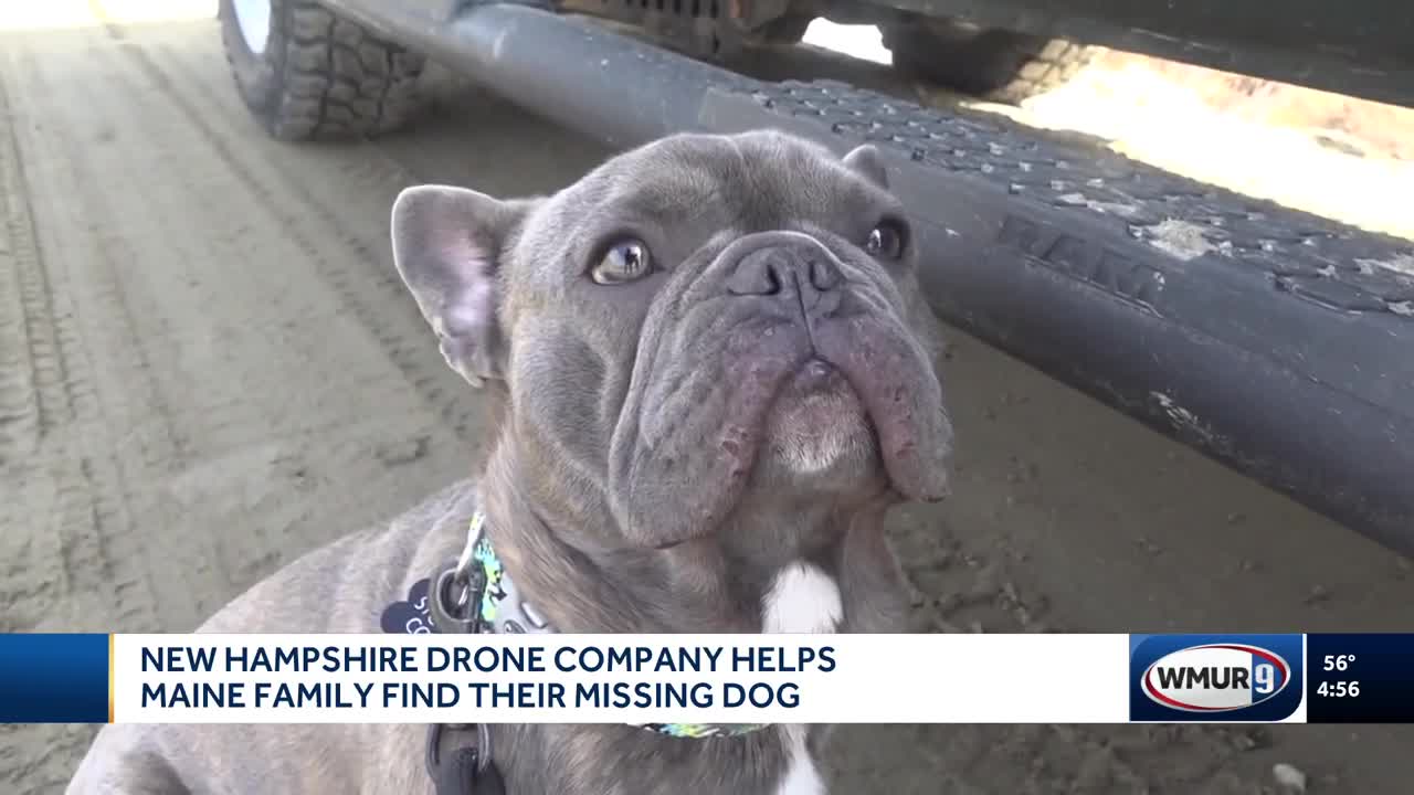 New Hampshire drone company helps Maine family find their missing dog