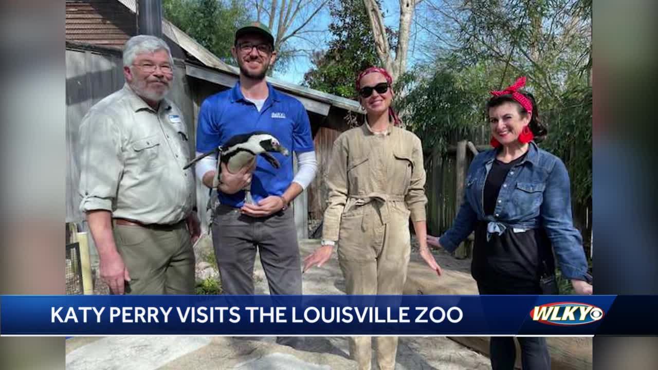 Katy Perry at the Louisville zoo