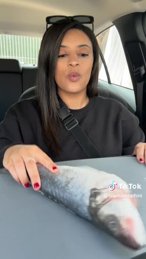 sophie saldana, car cooking, lofi food, tiktok