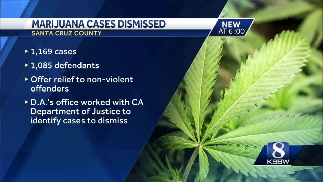 Santa Cruz County DA to dismiss past marijuana convictions