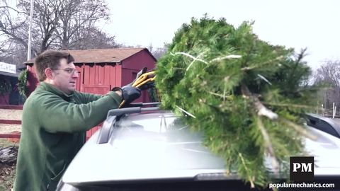 preview for How To Tie a Christmas Tree To Your Car