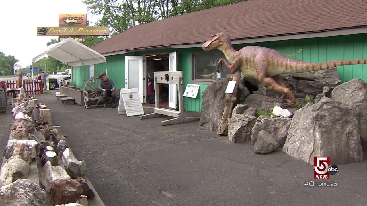 Hop off Route 5 and see 200 million year old dinosaur footprints