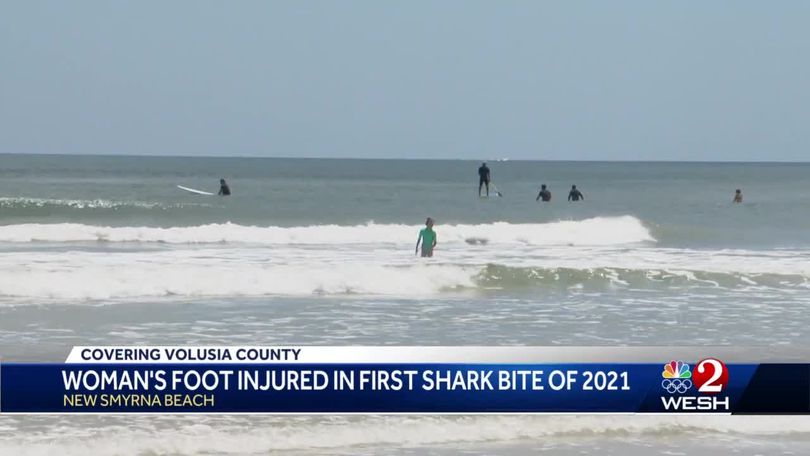 64 Year Old Woman Bitten By Shark In New Smyrna Beach Officials Say
