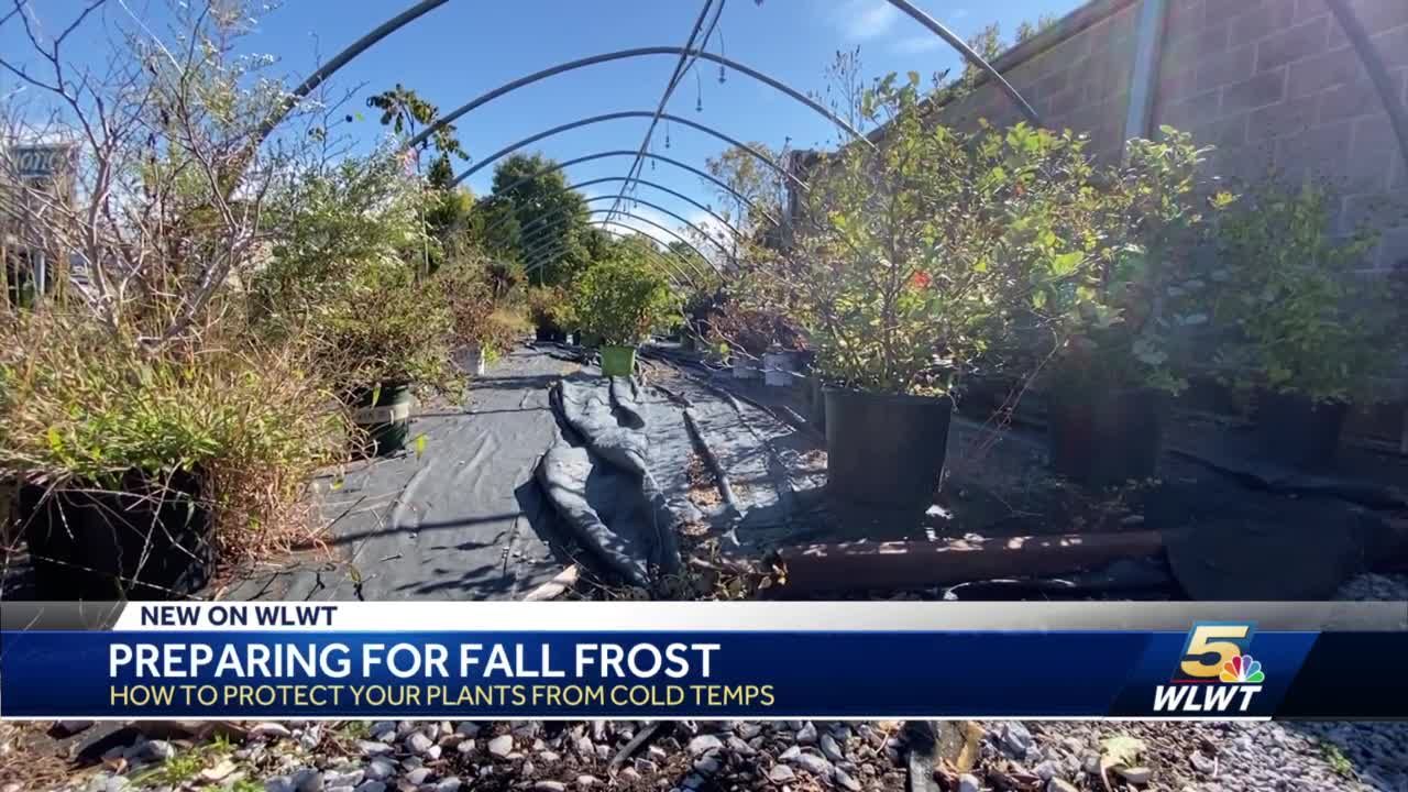 Are our plants safe from Cincinnati's extreme cold temperatures?