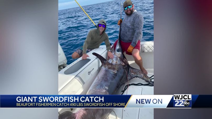 Beaufort fishermen reel in nearly 500 pound swordfish