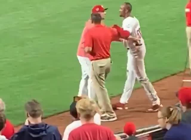 The Reds and Pirates brawl was art
