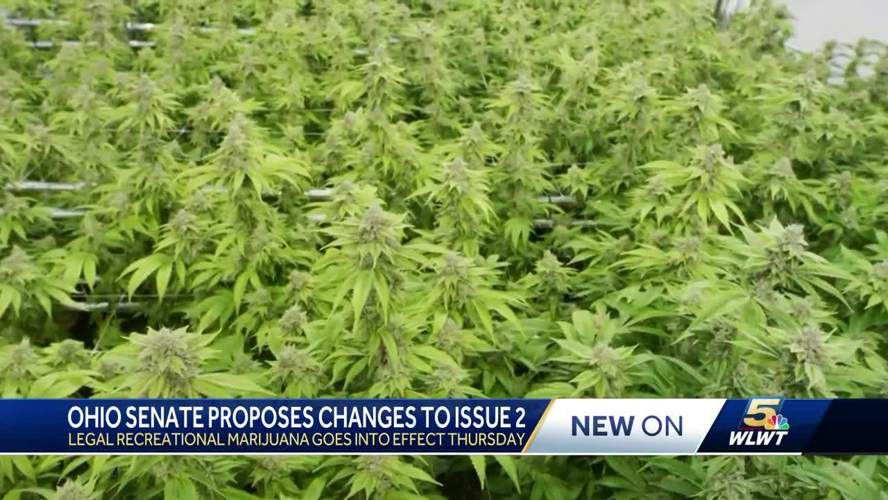 Ohio Republicans propose nixing home grow, increasing taxes in sweeping changes to legal marijuana
