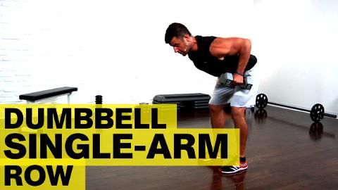 preview for Dumbbell Single-Arm Row_v2