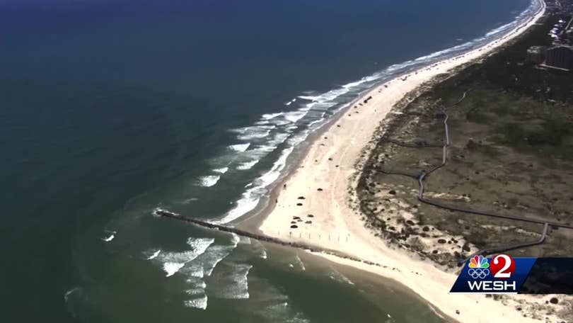 Eighth Shark Bite Reported This Year In Volusia County Eighth Shark Bite Reported This Year In Volusia County