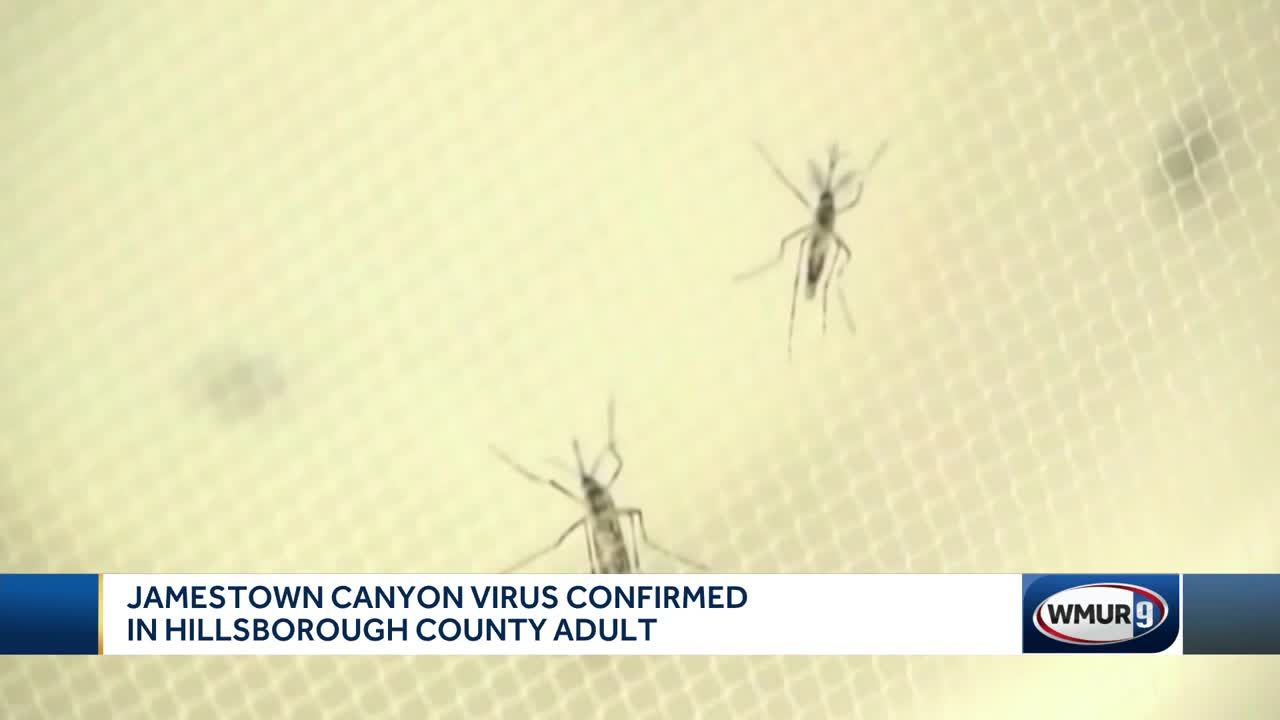 Jamestown Canyon virus, Powassan virus detected in humans in New Hampshire