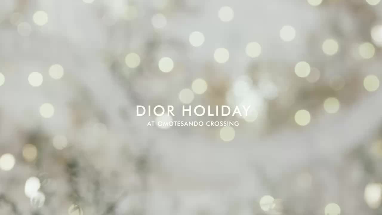 DIOR HOLIDAY with TAO TSUCHIYA