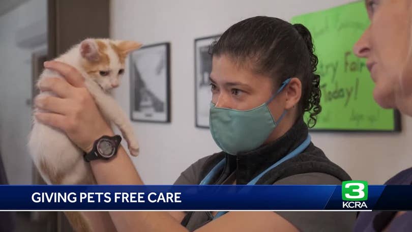 Nearly 1/3 of the US homeless population lives in California. This  veterinarian cares for the pets