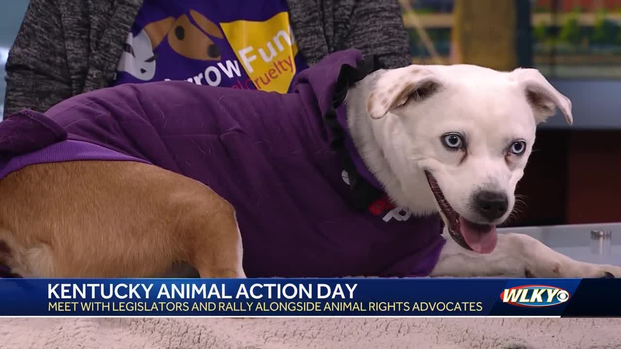 Kentucky Animal Action Day happening in Frankfort this month