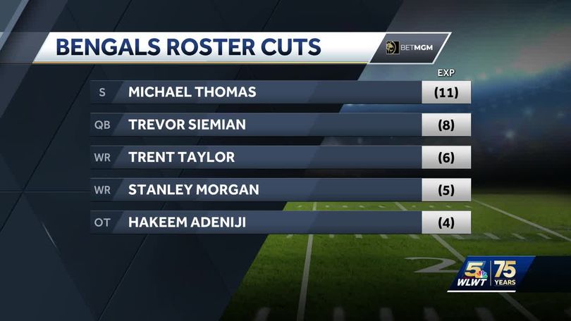 Titans: 4 surprise preseason roster cuts before Week 1