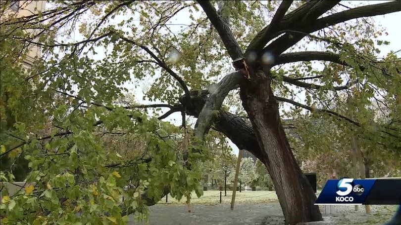 Authorities work to save Survivor Tree at Oklahoma City National Memorial after limb lost to ice