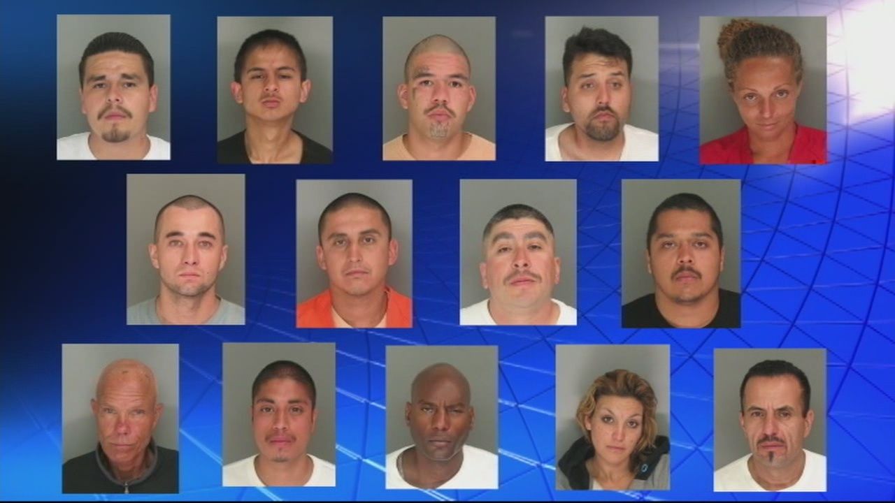 16 arrested in Santa Cruz County gang sweep